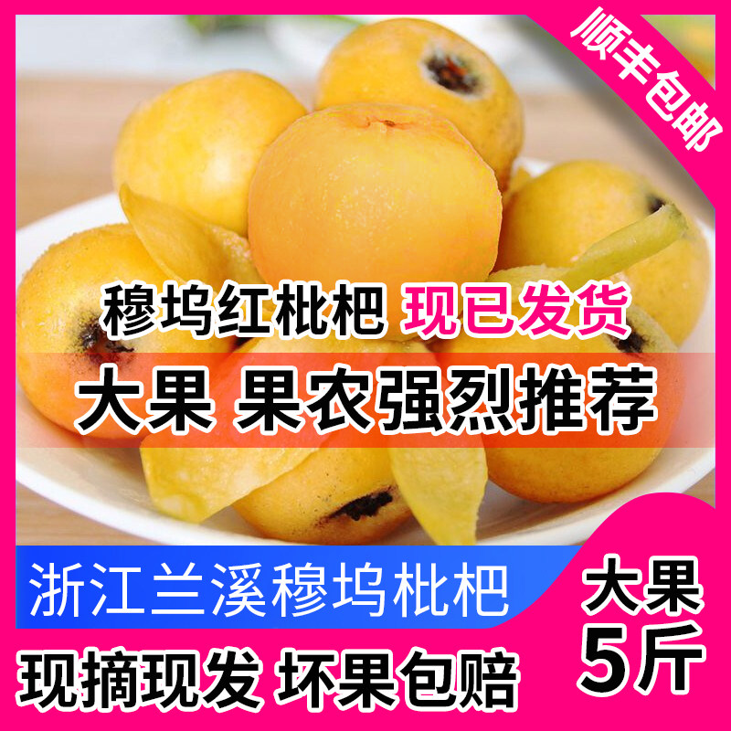 浙江兰溪红枇杷红肉枇杷大果琵琶新鲜枇杷鲜果鲜枇杷包装盒5斤装