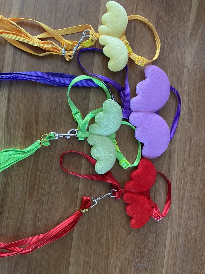 兔兔天使溜兔绳外带绳保暖草窝指甲钳清洁尿片荷兰猪宠物用品,宠物/宠物食品及用品,兔绳,淘宝优惠券,粉丝福利购,淘宝优惠卷