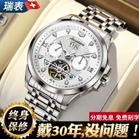 Швейцарские часы, механические водонепроницаемые механические часы, мужские часы, Швейцария, мужской стиль, полностью автоматический