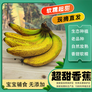 高山生态种植农家超甜芝麻香蕉新鲜水果自然熟无添加孕妇宝宝辅食