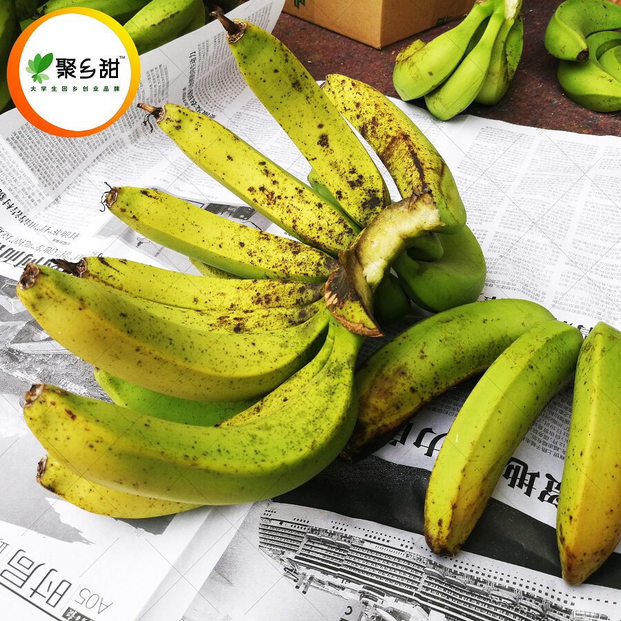 小森家 高山野生香蕉超甜芝麻蕉新鲜母婴水果自然熟无添加包邮