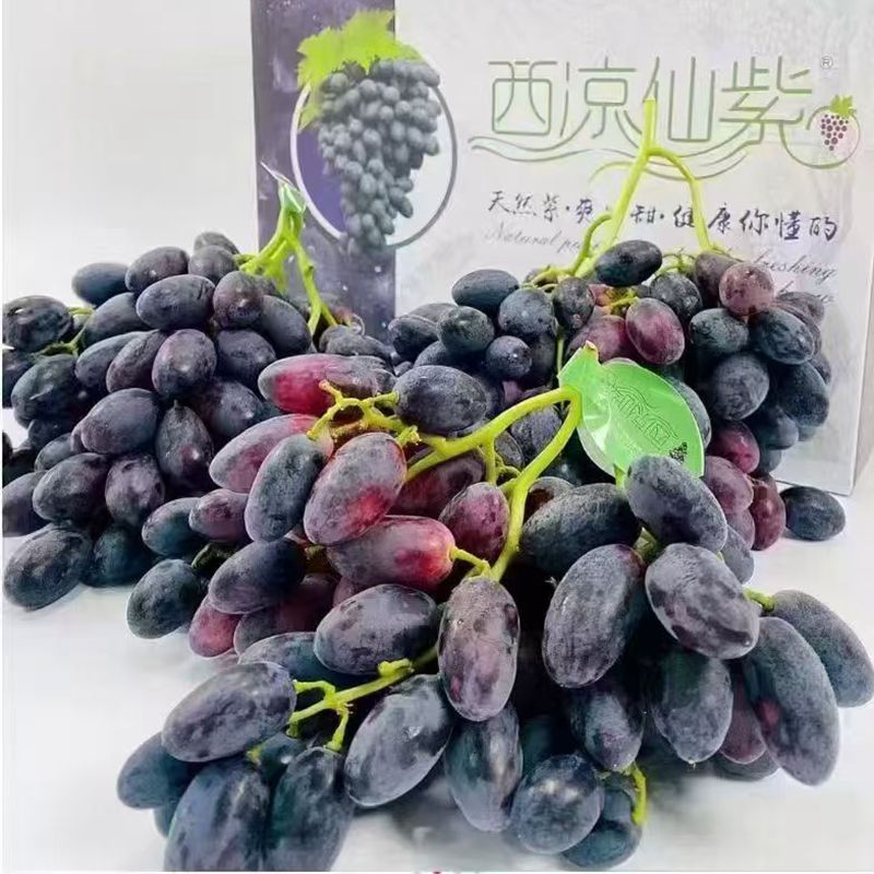 西凉仙紫葡萄提子新鲜当季水果无籽黑提礼盒顺丰北京发