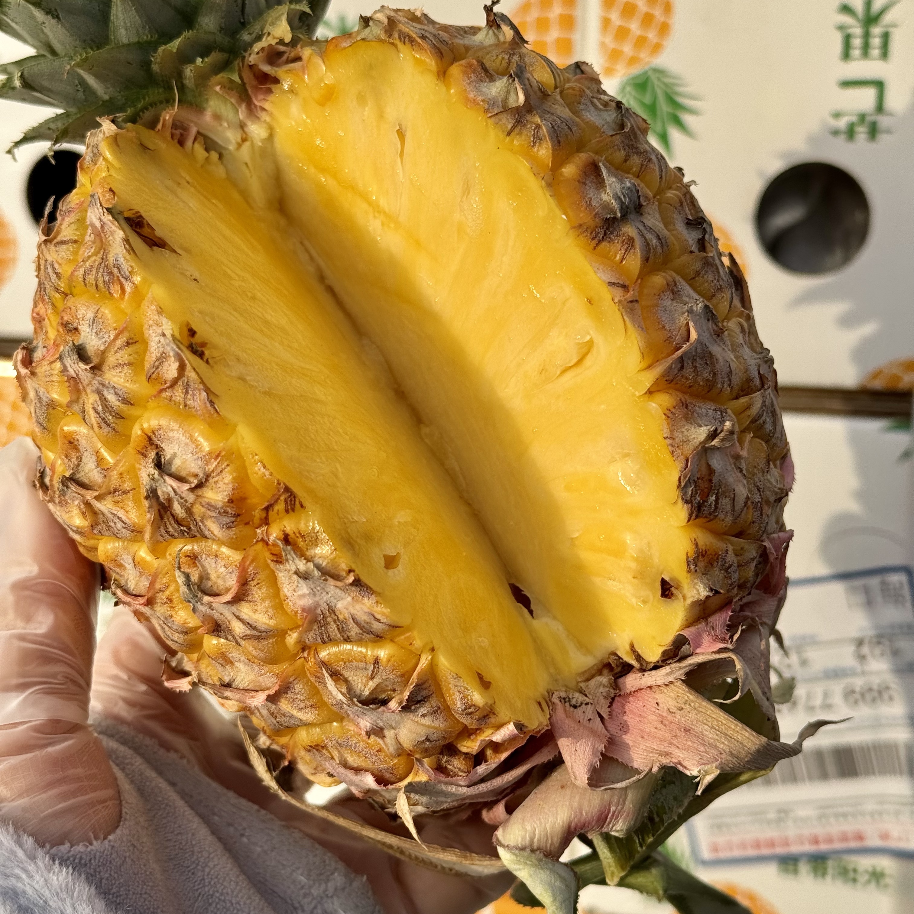 海南芒果凤梨新鲜当季水果无眼菠萝5斤礼盒顺丰北京发