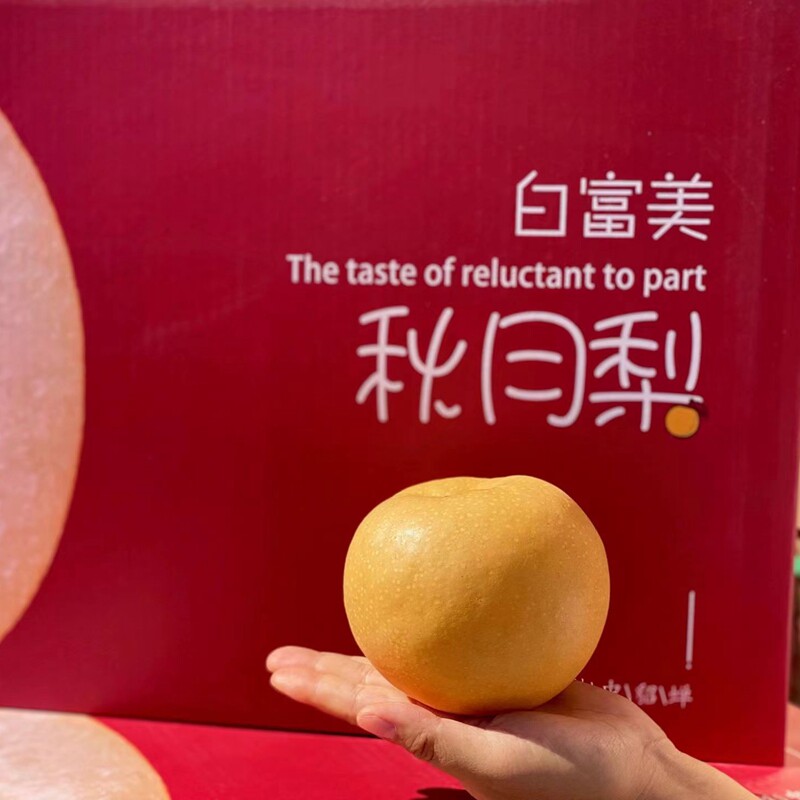 白富美秋月梨新鲜冰糖梨礼盒