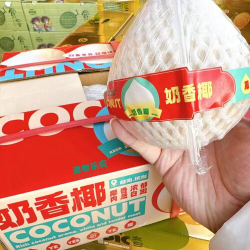 越南奶香椰天然椰皇新鲜清新奶香椰子顺丰包邮