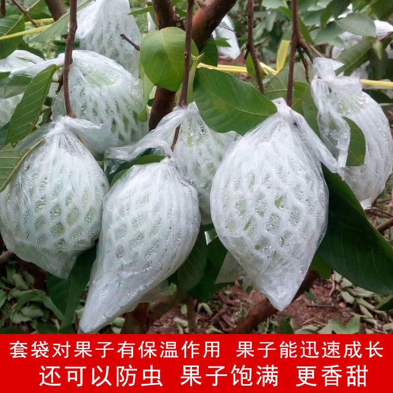 双层加厚防虫大果专用包果袋