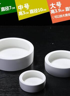 逃陶瓷食盆守 防逃、防溅水盆爬宠蜥蜴VPY宫鬃狮面包逸虫无菌陶防