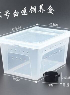 高透明养蚯蚓专用箱塑料饲养盒子透气养殖面包虫活饵红虫保湿用品