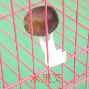 塑料鸟用水果叉鹦鹉水果叉鸟食叉鸟笼叉玩具鹦鹉玩具鸟用具鸟用品