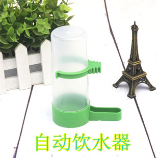 鸟用饮水器 水壶水缸鸟笼鸟食鸟用具 自动 鸟用品