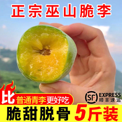 巫山脆李脱骨李重庆青脆李土李子非贵州蜂糖李四川脱骨李顺丰包邮