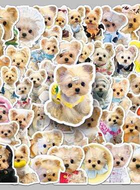 50张约克夏梗犬贴纸萌宠可爱狗狗动物防水装饰奶茶杯平板电脑贴纸