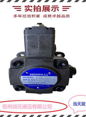 法国HPI齿轮泵P1CBN1002CA1002CL20C01V 货期短 供应全系列