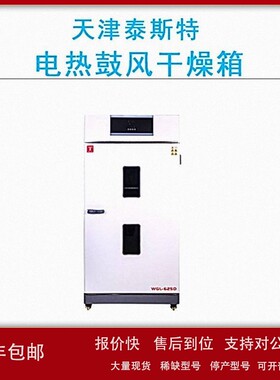 议价天津泰斯特 WGL-625D/L/T立式电热鼓风干燥箱恒温烘箱RT+10-3