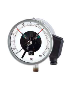 原厂供货 原装进口 FIMA 压力表 89Y7F8