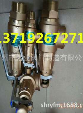 SS安全阀 台湾317 318安全阀A27W-16T A28W-16T全铜安全阀