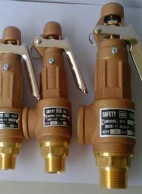 SS黄铜317台湾318不锈钢安全阀SnW