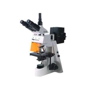 实验室40 19AY 1000倍三目落射荧光显微镜 彼爱姆