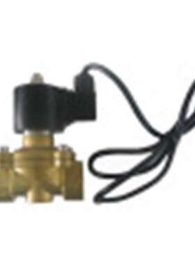 2寸喷泉电磁阀DN50 XSDF-500-50 AC220V 防水专用潜水 快速开闭