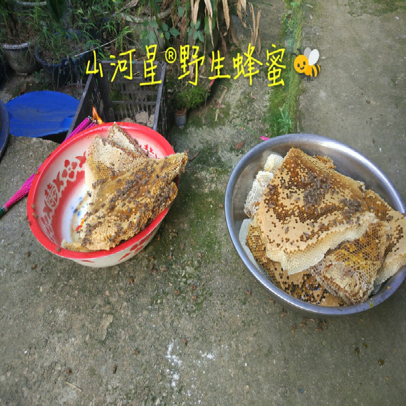 山河星蜂巢蜜农村闽清流野生土蜂蜜农家新蜜百花蜜原蜜冬蜜糖1斤