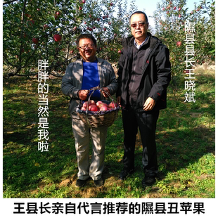 正宗山西隰县新鲜丑苹果自家果园原生态冰糖心苹果水果当季 包邮