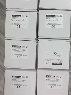 继电器WD100   Z224319