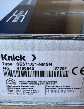 Knick SE571X/1-NMSN pH 传感器