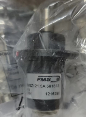 FMS张力传感器 RMGZ121.5A.581613. H14 150N