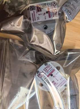 PCH1216振动传感器 CHF836004  PCH1218 丹麦