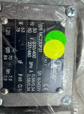 意大利minimotor电机 MC230P3T