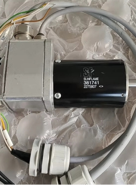 SUNFLAME转杯马达 马达381741 SF马达381741