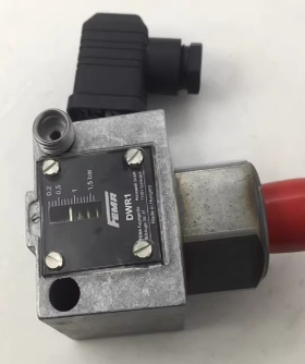 FEMA菲玛压力开关DWR1