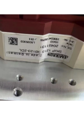 SKIIP  1213GB123-2DL