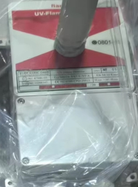 flamtron UV-Flame Detector 800/24 VST-K-NT