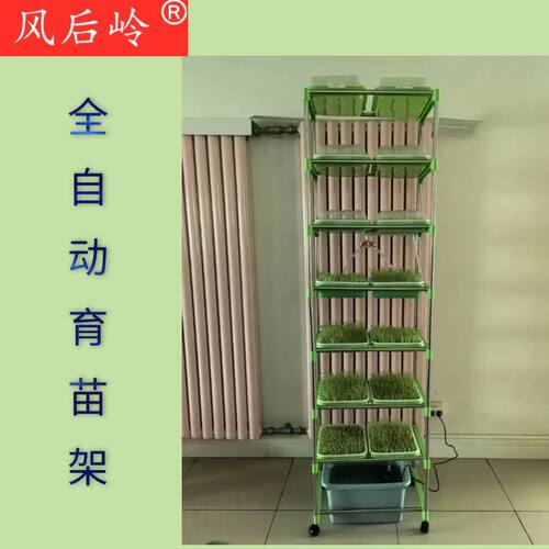 种菜育苗盘自动育苗架风后岭阳台