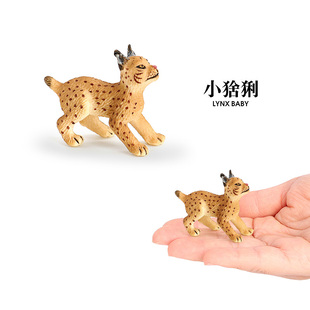 仿真野生动物玩具模型 小猞猁幼崽山猫猫科动物实心儿童认知摆件
