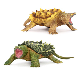 实心仿真野生动物模型大鳄龟真鳄龟爬宠玩具儿童科教认知礼物摆件