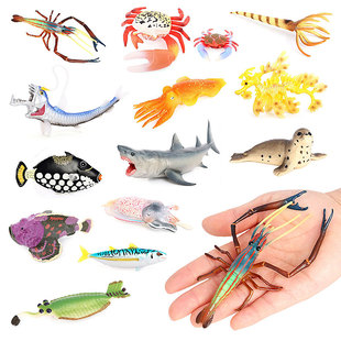 仿真海洋动物模型长臂虾鱿鱼海龙蝰鱼秋刀鱼海底生物儿童认知玩具