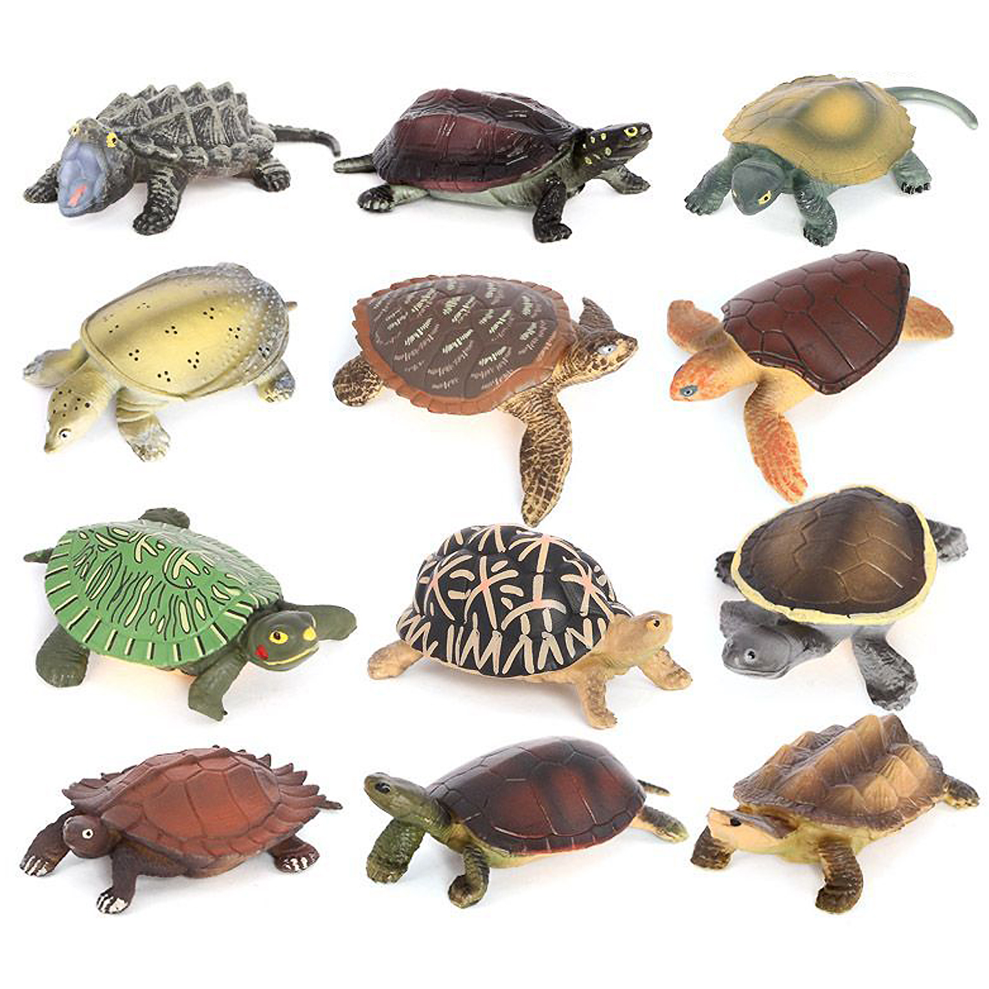 枯叶龟真鳄龟中华草龟中华鳖