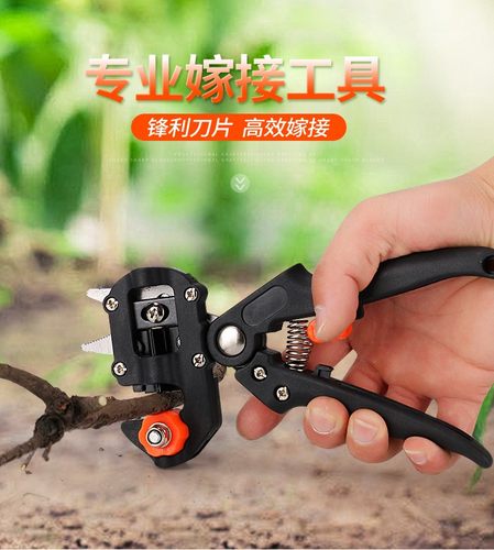多功能园林嫩芽嫁接工具