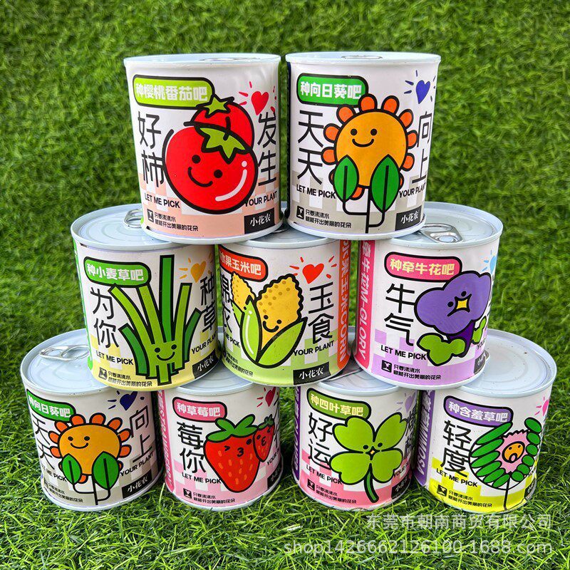 幸运草向日葵盲盒小盆栽幼儿园礼物种植花卉种子学生儿童小盆栽图片