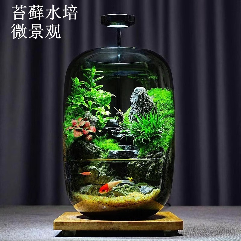 苔藓微景观创意蛋壳真绿植苔藓微景观生态瓶成品室内水培生态缸