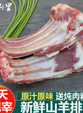 新鲜斤装散养羊肋排烧烤羊肉羊排