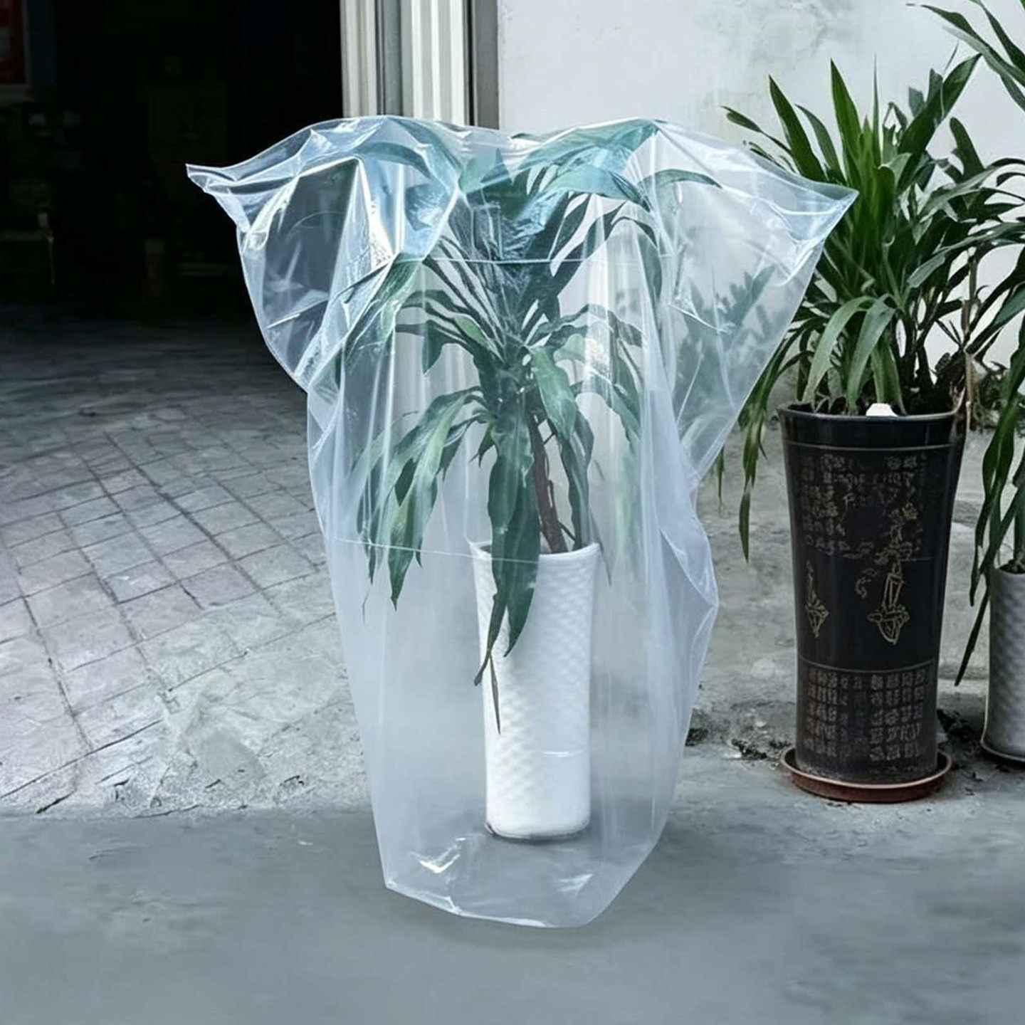 植物防寒罩保温袋塑料布