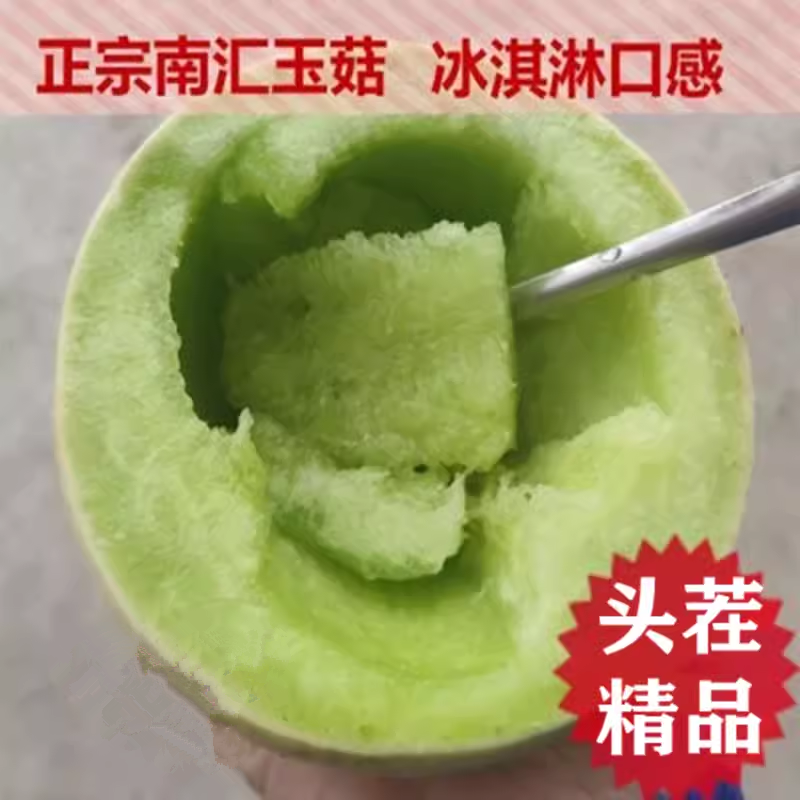 超甜糯上海南汇玉菇甜瓜10斤青皮绿肉瓜香瓜 玉茹蜜瓜新鲜水果5斤
