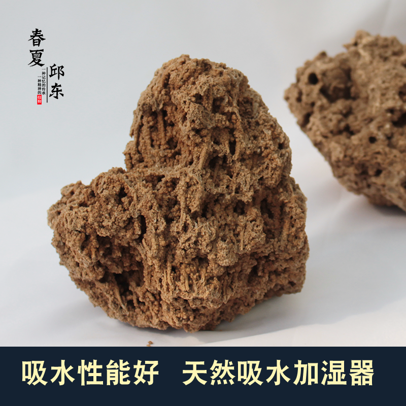 吸水石盆景植物桌面小摆件