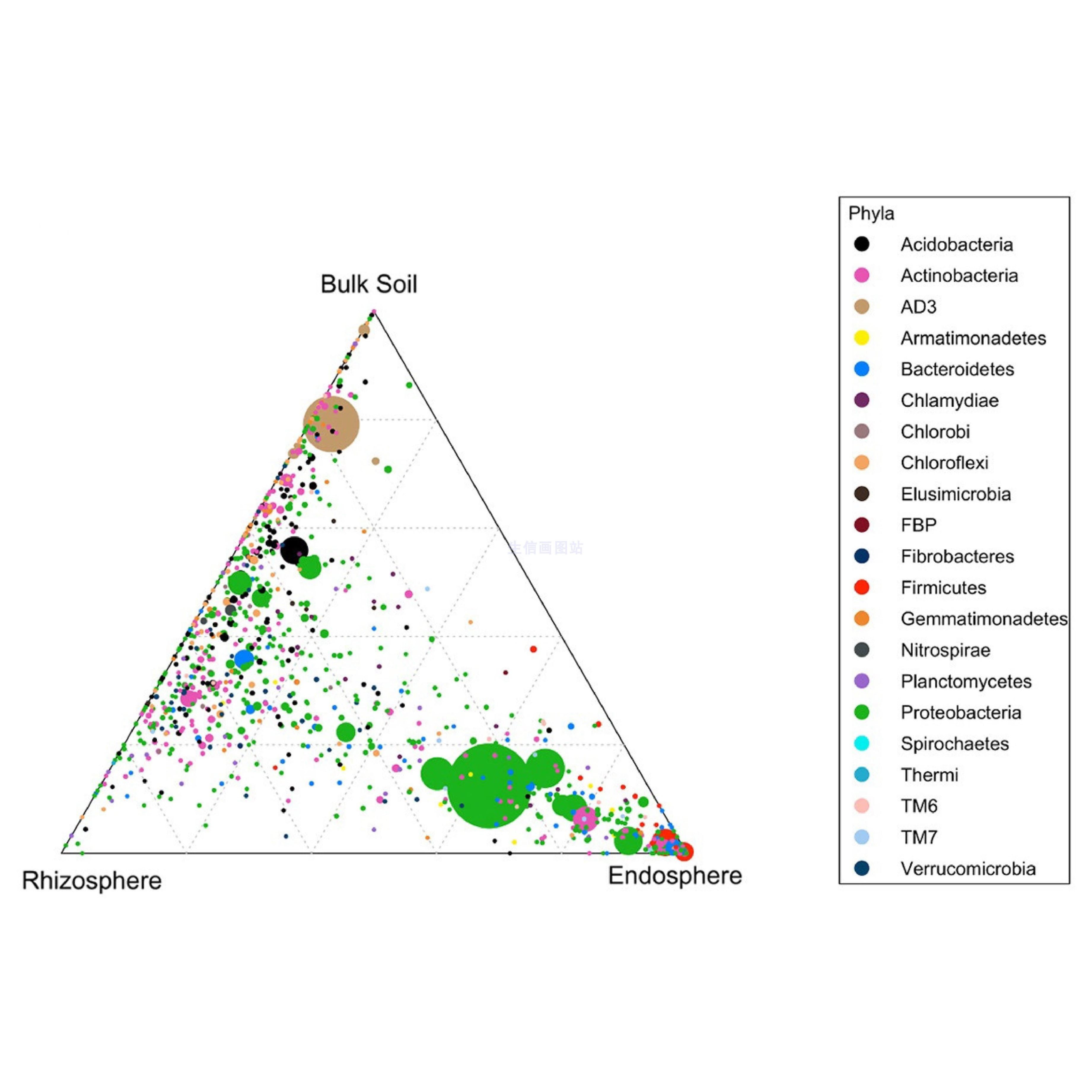 circos圈图 chord弦图 韦恩图 进化树 花瓣图 生信分析R语言画图