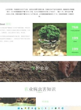 python代编程深度学习yolo目标检测神经网络机器视觉图像识别代做