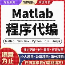 计算机Java代码编写c++代做matlab程序Python编程php设计qt开发c#