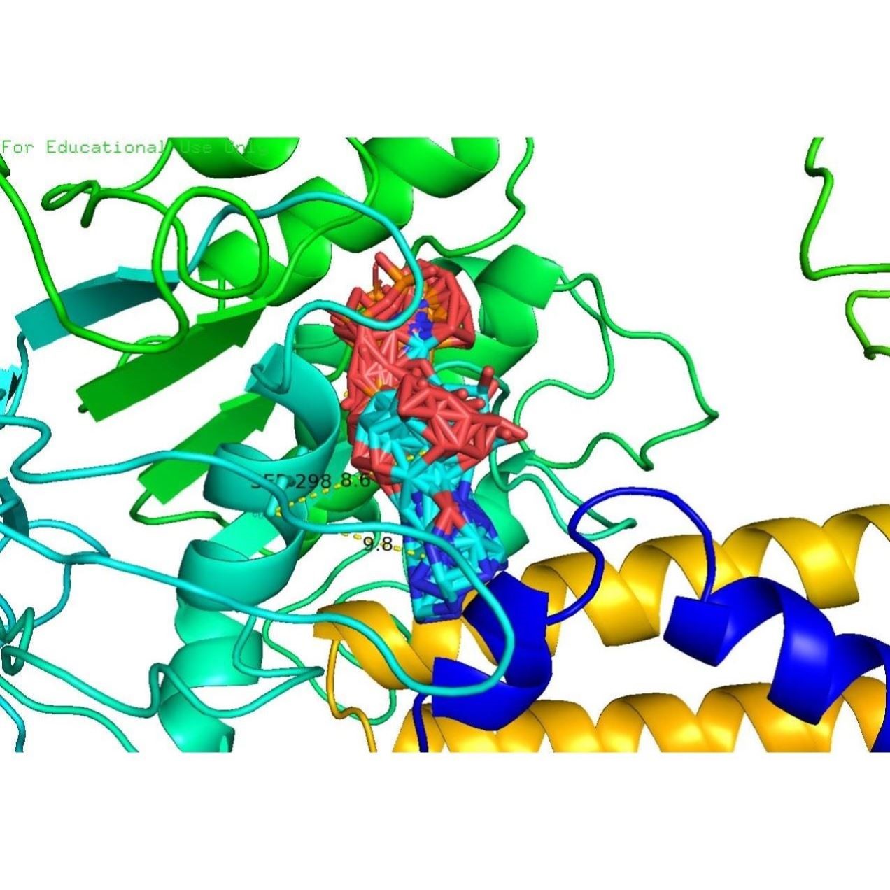 蛋白分子对接Discovery Studio分析3D结构2D结构图PyMOL